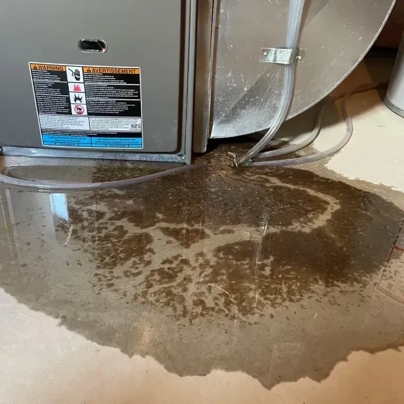 Appliance Leak Cleanup in Richlandtown, PA